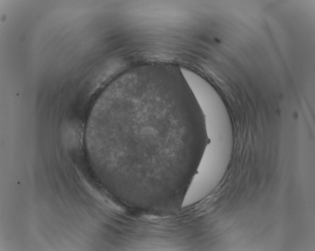 X0000088400168200706191406