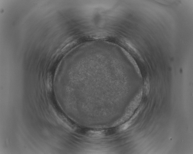 X0000088400170200706191406