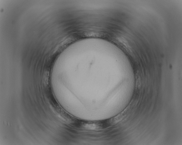 X0000088400171200706191406