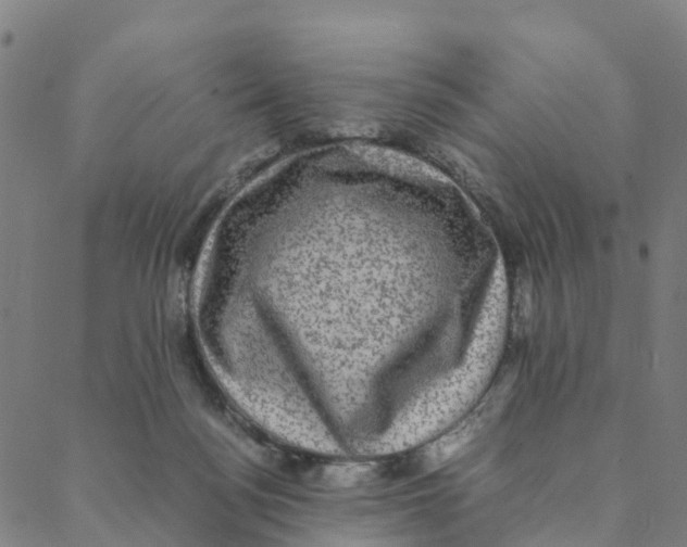 X0000088400172200706191406