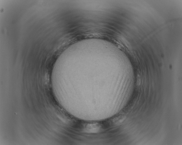 X0000088400173200706191406