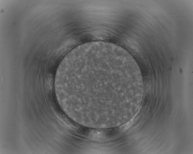 X0000088400174200706191406