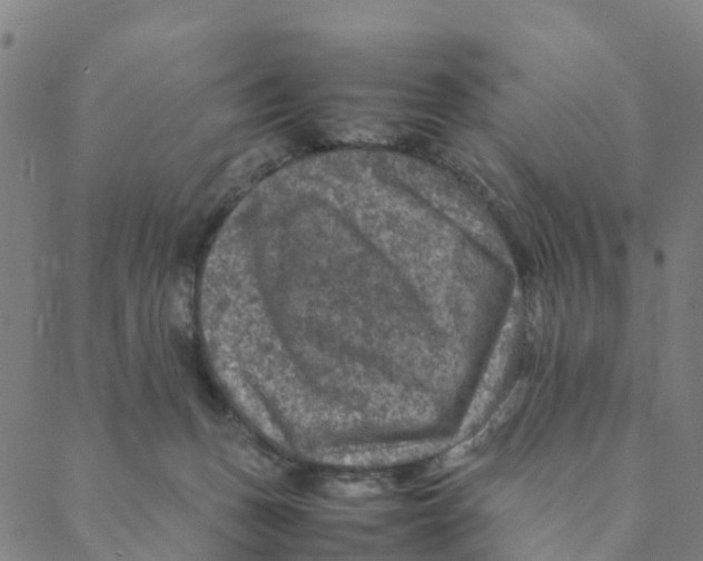 X0000088400175200706191406