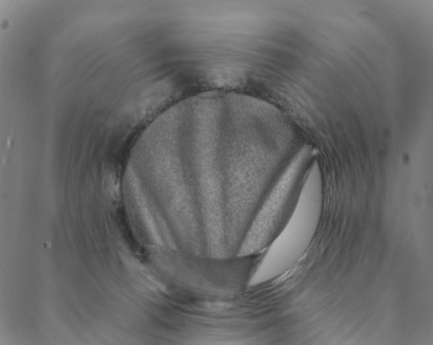 X0000088400176200706191406