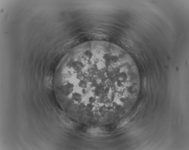 X0000088400177200706191406