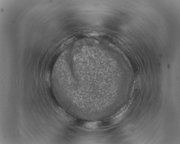 X0000088400178200706191406