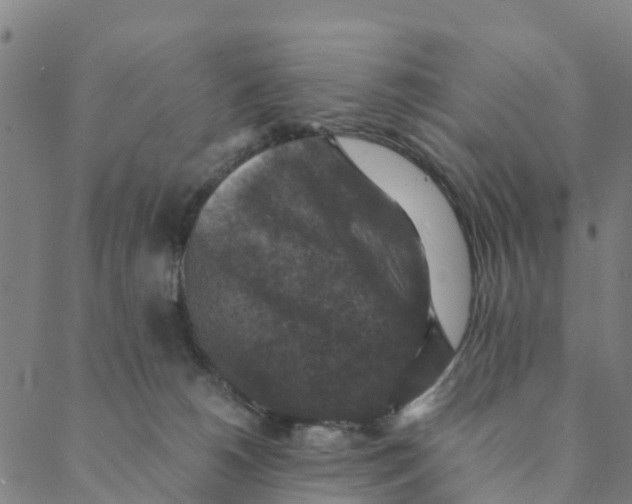 X0000088400180200706191406