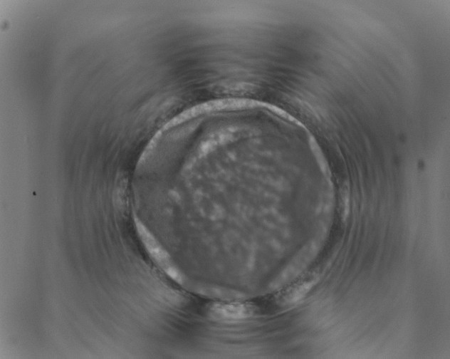 X0000088400181200706191406