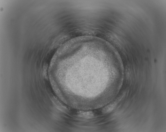 X0000088400185200706191406