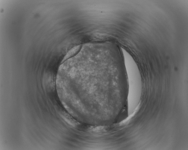 X0000088400186200706191407