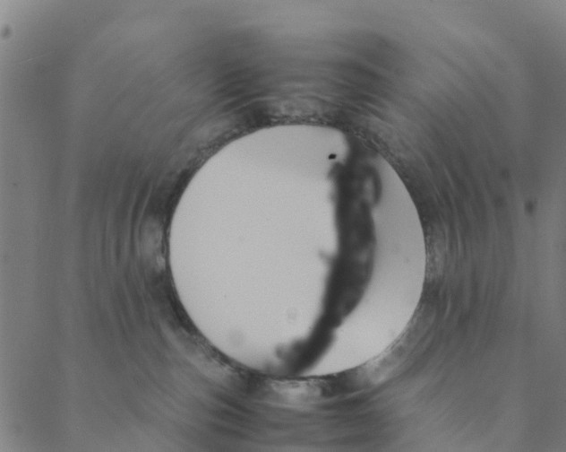 X0000088400187200706191407