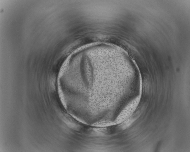 X0000088400188200706191407