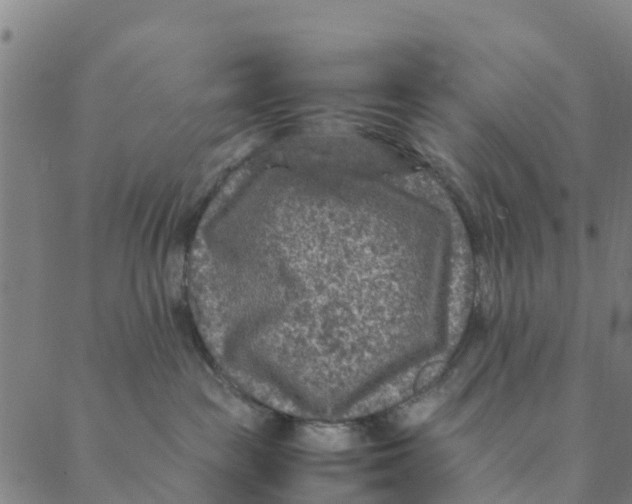 X0000088400189200706191407