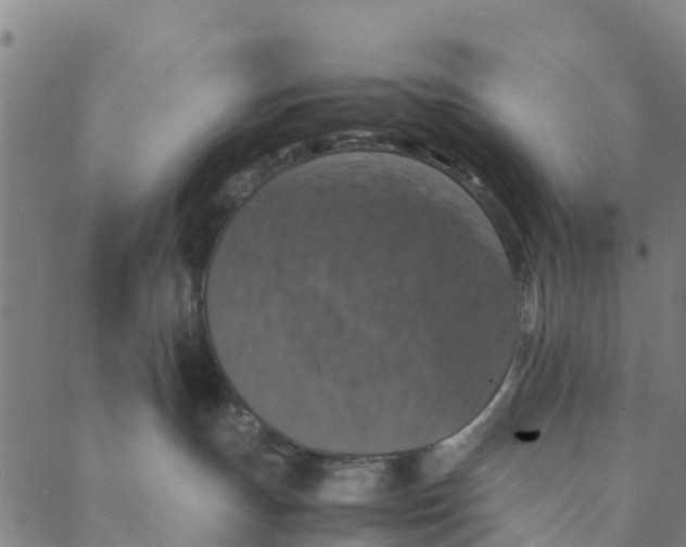 X0000088400191200706191407