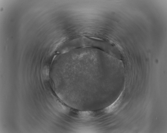 X0000088400192200706191407