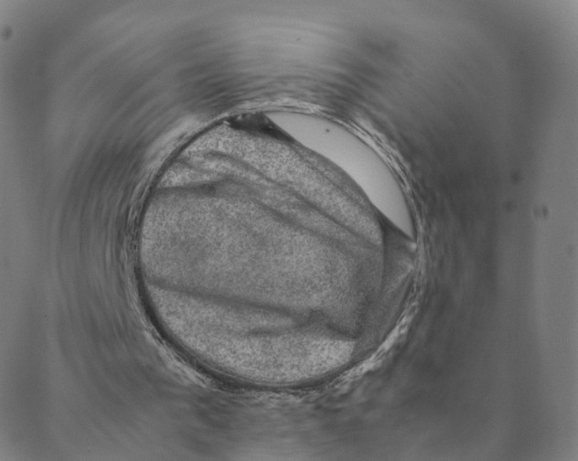 X0000088400193200706191406