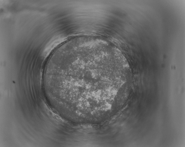 X0000088400194200706191406