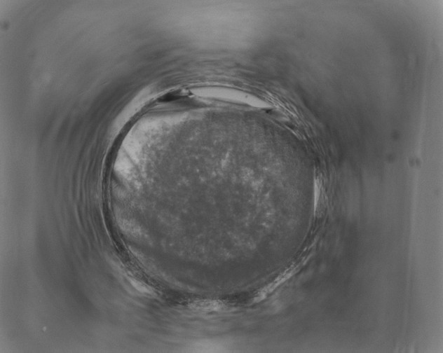 X0000088400195200706191406