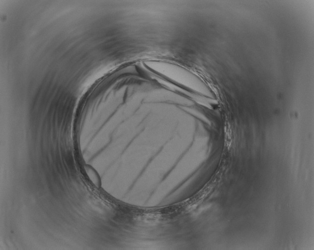 X0000088400196200706191406