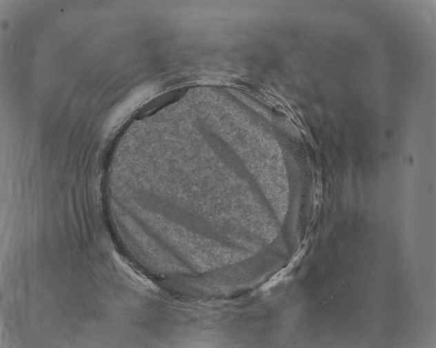 X0000088400197200706191406