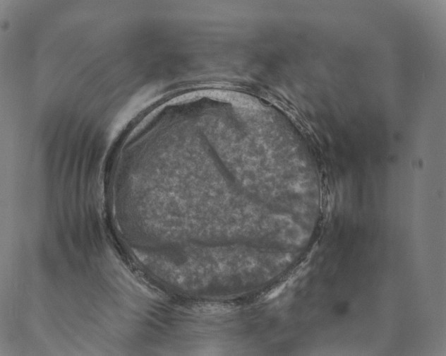 X0000088400198200706191406