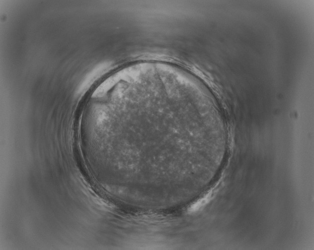 X0000088400199200706191406