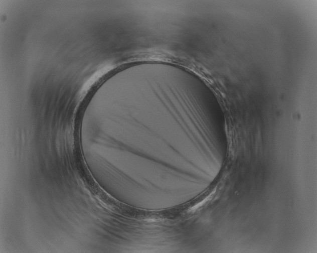 X0000088400200200706191406