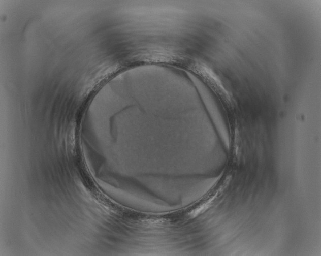 X0000088400202200706191406