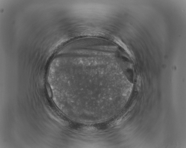 X0000088400203200706191406