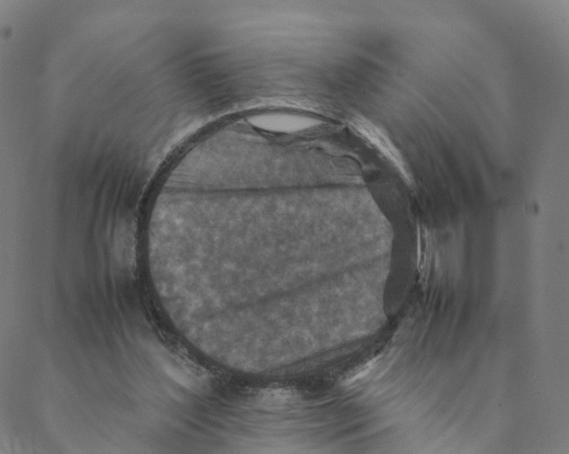 X0000088400204200706191406