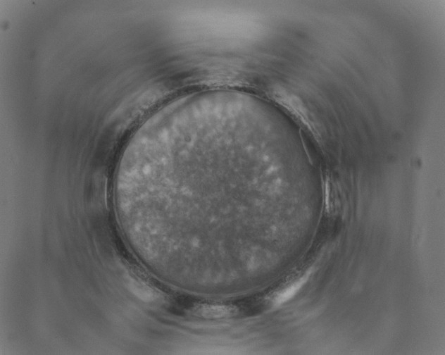 X0000088400205200706191406