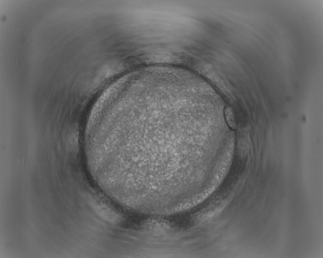 X0000088400207200706191406