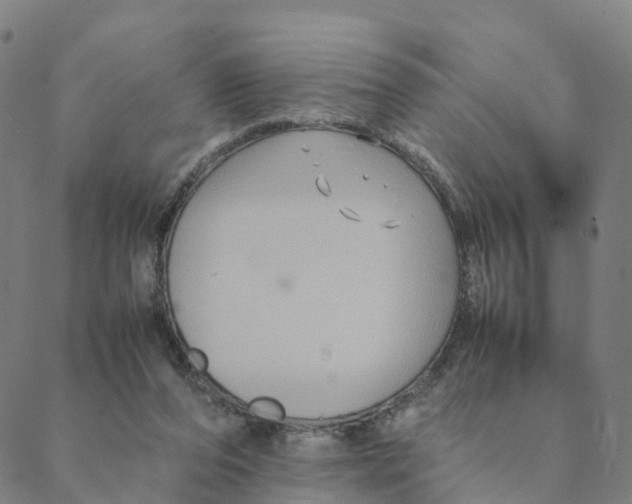 X0000088400208200706191406