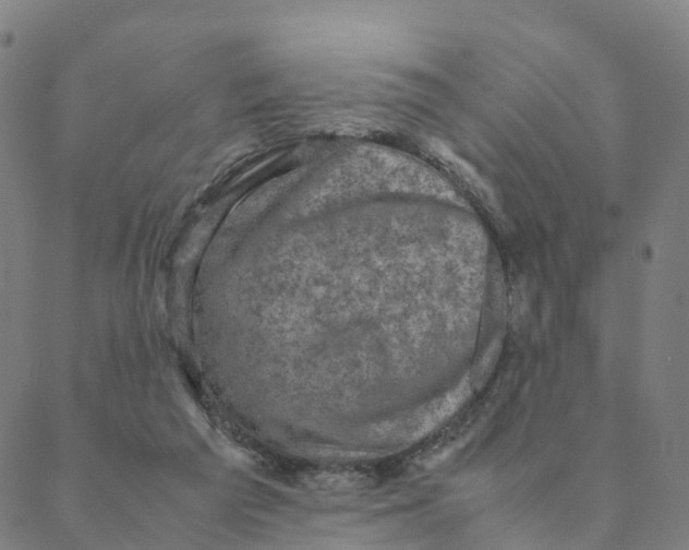 X0000088400209200706191406