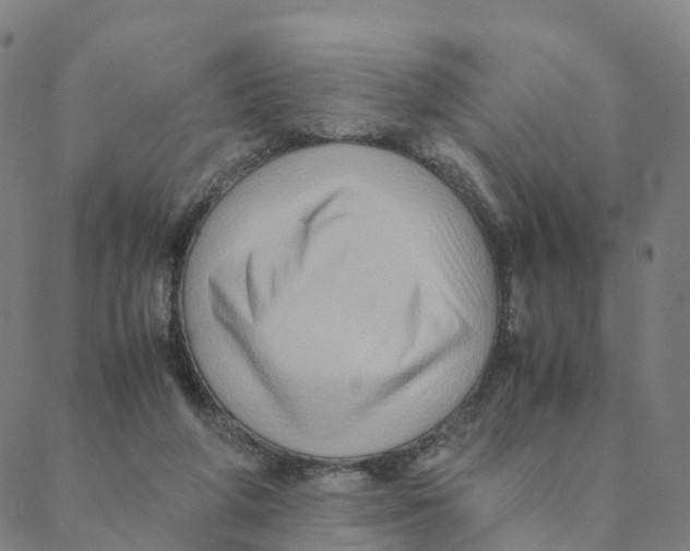 X0000088400210200706191406