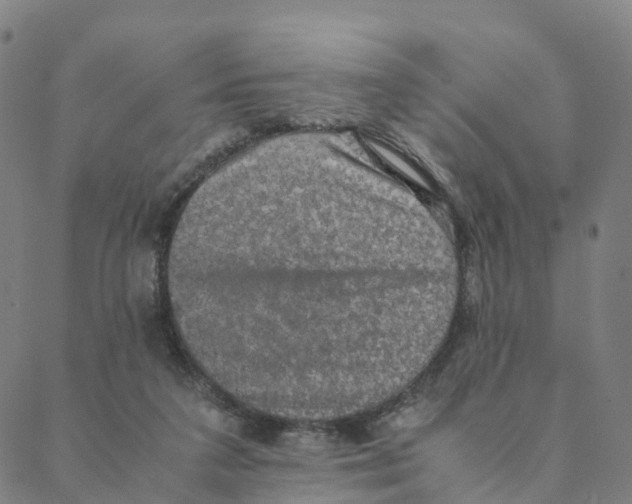 X0000088400211200706191406