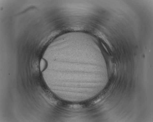 X0000088400212200706191406