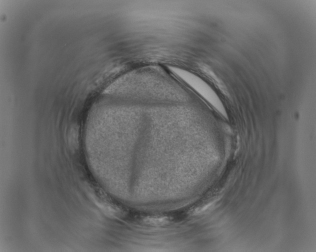 X0000088400213200706191406