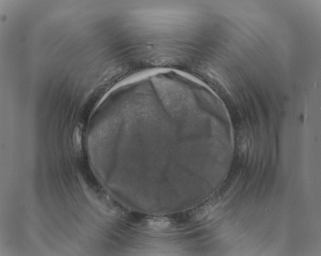 X0000088400214200706191405