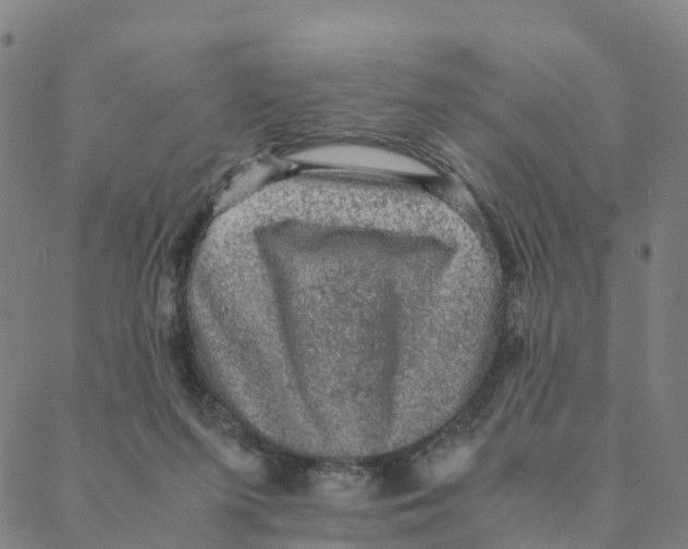 X0000088400215200706191405