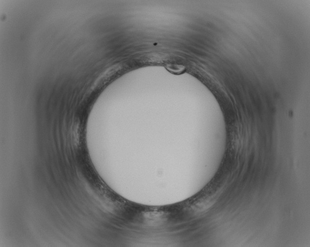 X0000088400216200706191405