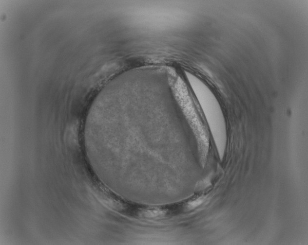 X0000088400217200706191405