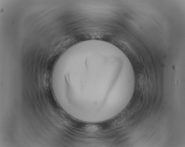 X0000088400218200706191405