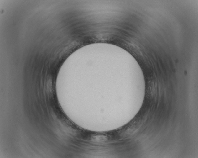 X0000088400220200706191405