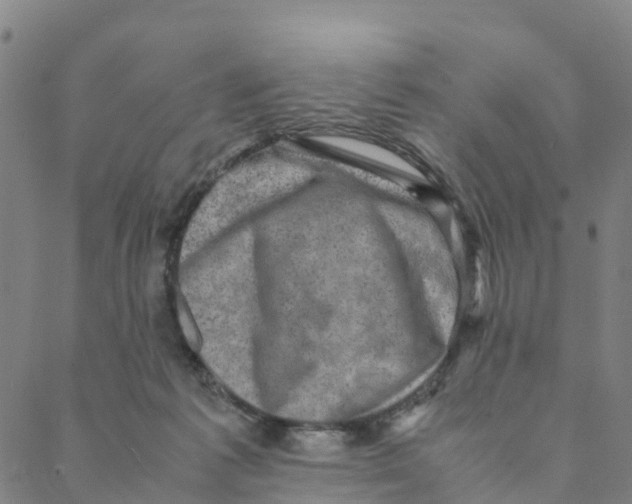 X0000088400221200706191405