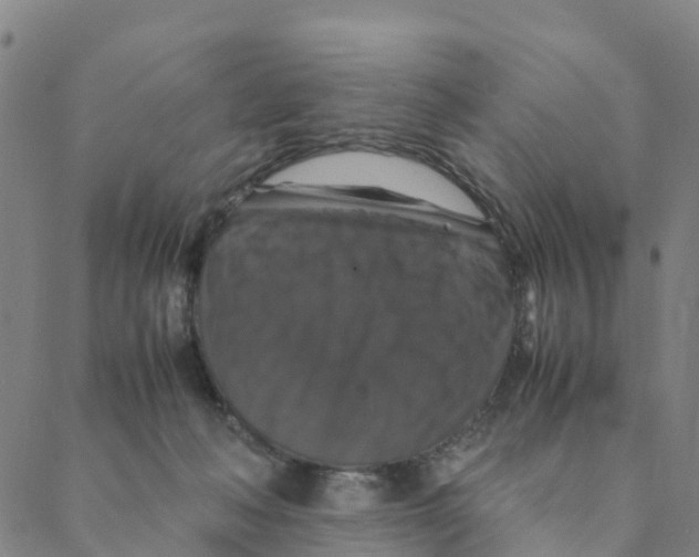 X0000088400222200706191405