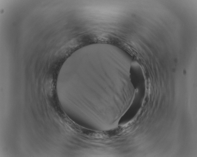 X0000088400223200706191405