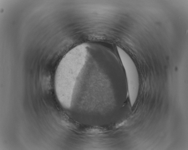 X0000088400224200706191405