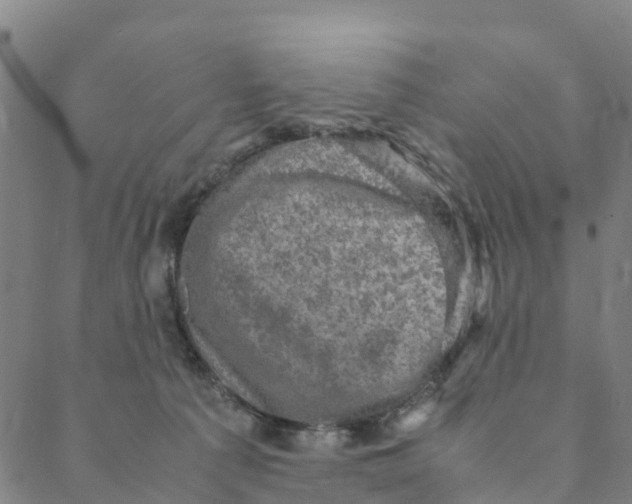 X0000088400225200706191405