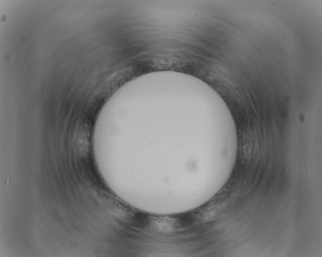 X0000088400226200706191405